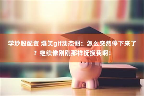 学炒股配资 爆笑gif动态图：怎么突然停下来了？继续像刚刚那样抚摸我啊！