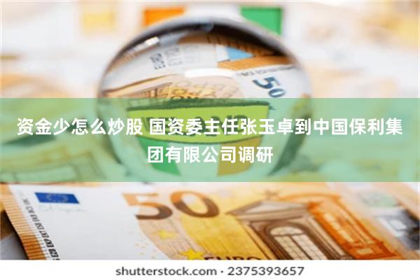 资金少怎么炒股 国资委主任张玉卓到中国保利集团有限公司调研