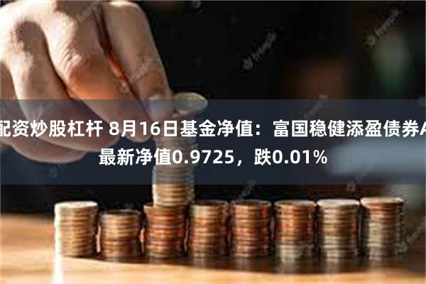 配资炒股杠杆 8月16日基金净值：富国稳健添盈债券A最新净值0.9725，跌0.01%