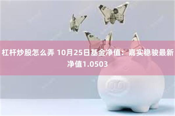 杠杆炒股怎么弄 10月25日基金净值：嘉实稳骏最新净值1.0503