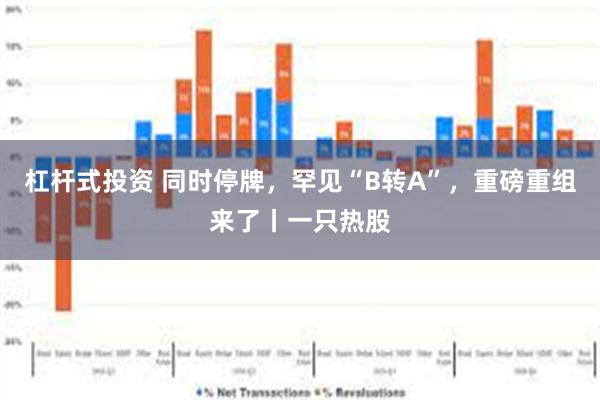 杠杆式投资 同时停牌，罕见“B转A”，重磅重组来了丨一只热股