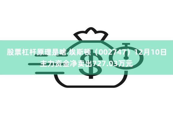 股票杠杆原理是啥 埃斯顿（002747）12月10日主力资金净卖出727.03万元