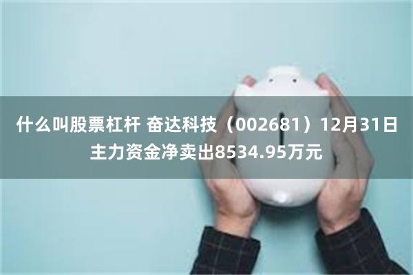 什么叫股票杠杆 奋达科技（002681）12月31日主力资金净卖出8534.95万元