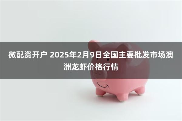 微配资开户 2025年2月9日全国主要批发市场澳洲龙虾价格行情