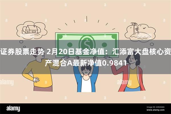 证券股票走势 2月20日基金净值：汇添富大盘核心资产混合A最新净值0.9841