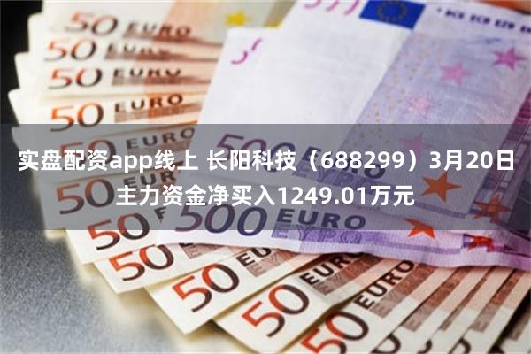 实盘配资app线上 长阳科技（688299）3月20日主力资金净买入1249.01万元