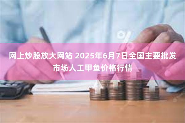 网上炒股放大网站 2025年6月7日全国主要批发市场人工甲鱼价格行情